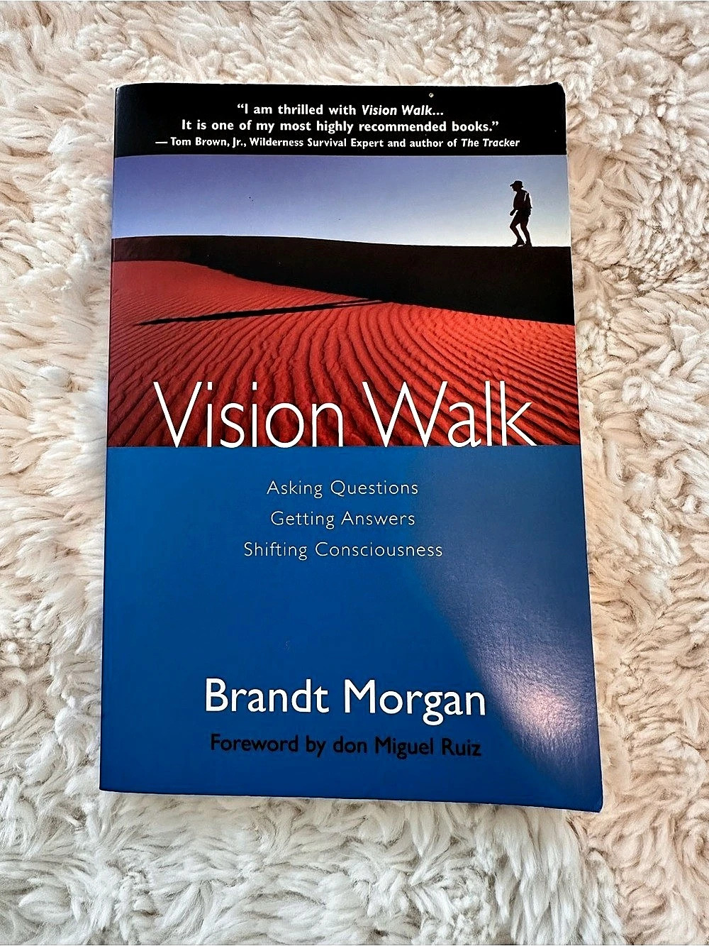 Morgan James Publishing Vision Walk Book Paperback Blue and Red Good